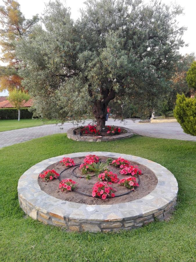 Elena Apartments & Studios Vourvourou Luaran gambar
